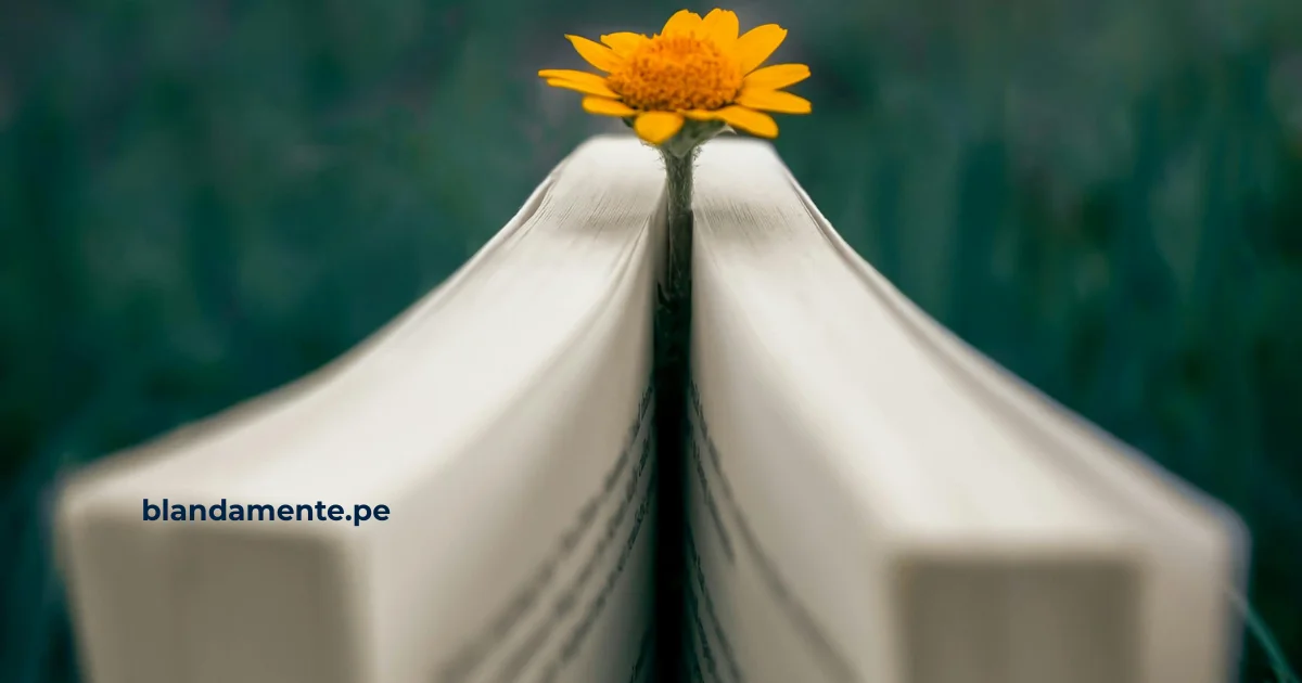 Microhábitos emocionales que sostienen tu día